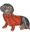 Dachshund in Jumper Card Dachshund in Jumper Card
